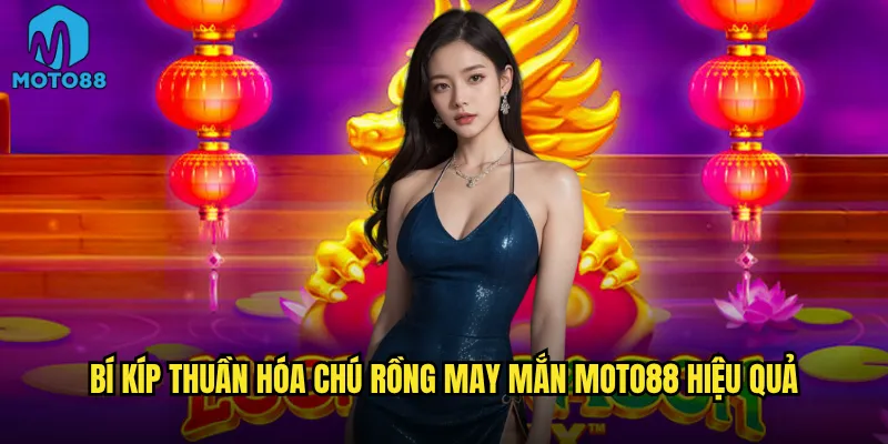 Bí kíp thuần hóa chú rồng may mắn Moto88 hiệu quả