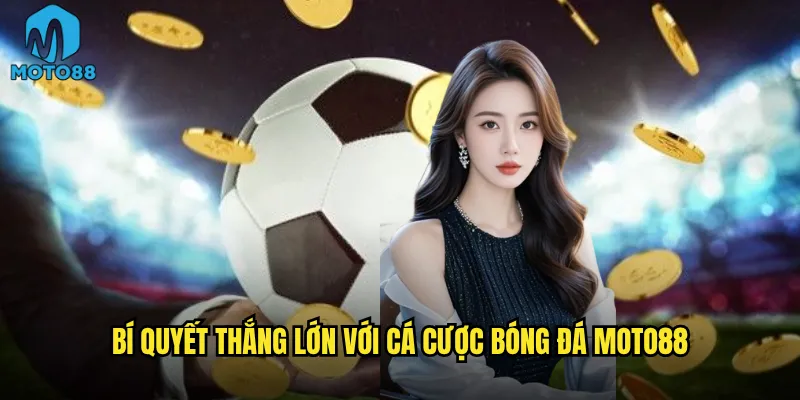 Cá cược bóng đá Moto88 có phải là lựa chọn số 1 cho fan túc cầu? 3 Bí quyết thắng lớn với cá cược bóng đá Moto88